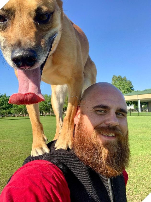 20 bức ảnh về chó mèo ấm áp như tình yêu thương của gia đình 11