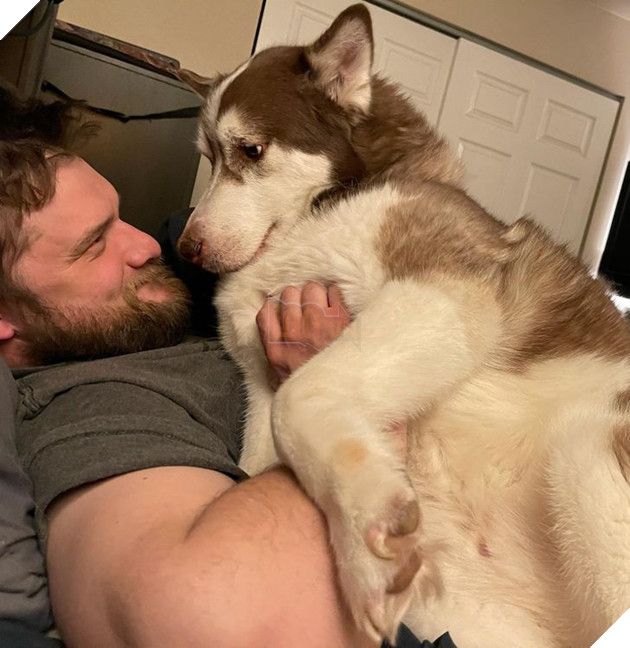 20 bức ảnh về chó mèo ấm áp như tình yêu thương của gia đình 15