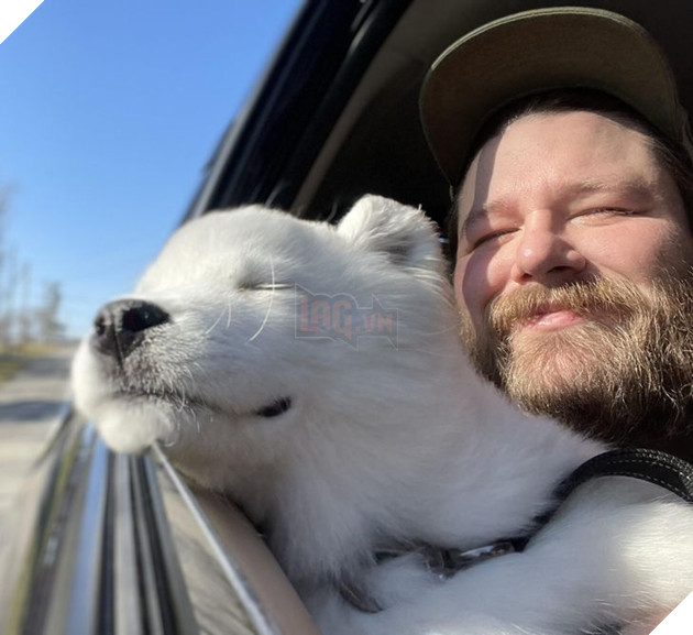 20 bức ảnh về chó mèo ấm áp như tình yêu thương của gia đình 2