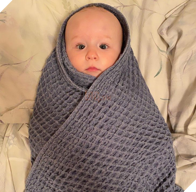 20 bức ảnh về chó mèo ấm áp như tình yêu thương của gia đình 9