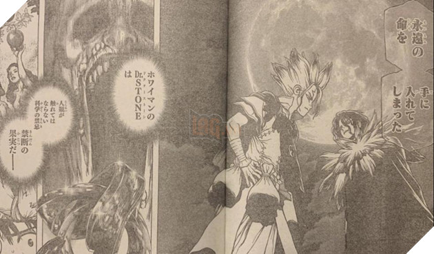 spoiler dr.stone chap 197