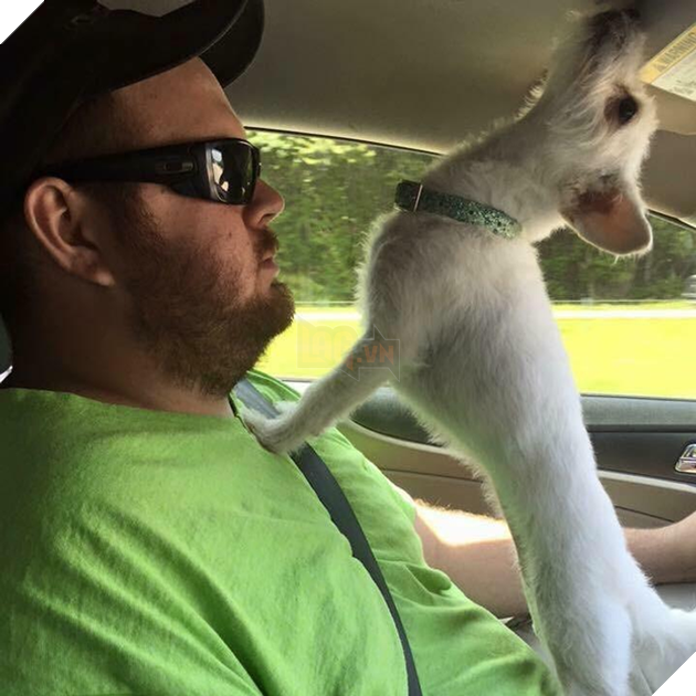 20 hình ảnh cho thấy, động vật là những đứa trẻ thuần khiết và tinh nghịch nhất thế giới 18