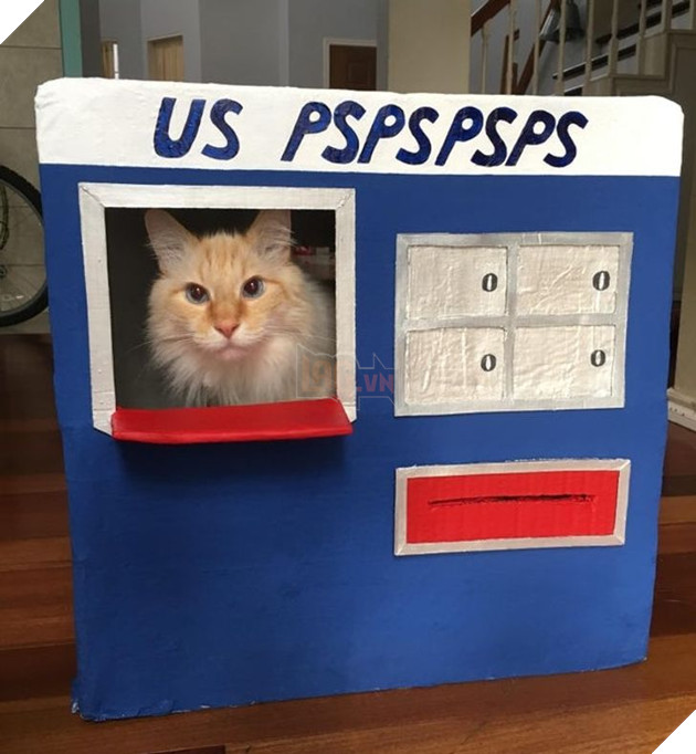 20 hình ảnh khi các hoàng thượng xuất hiện tại nơi làm việc khiến bạn thật muốn có nhân viên mèo lắm lông 5