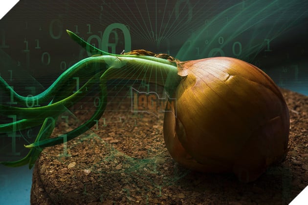 Tor Browser là gì? Và cách trình duyệt có thể giúp bảo vệ danh tính của bạn