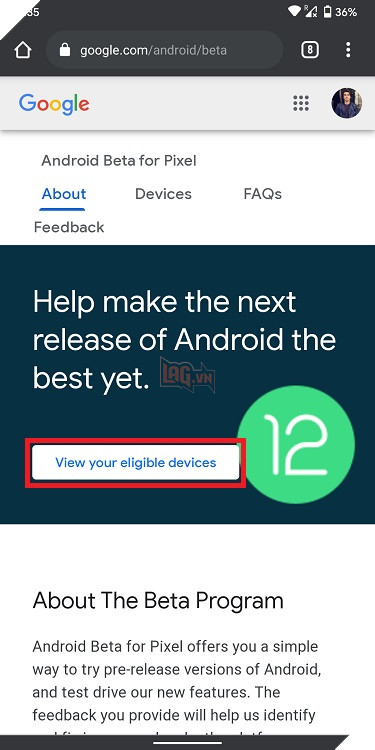 Hướng dẫn: Các bước cài đặt Android 12 Beta đơn giản trên điện thoại Pixel 2