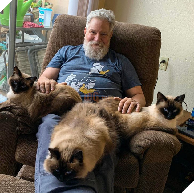 20 bức ảnh cho thấy, nuôi mèo theo cặp theo bầy khiến cho sự dễ thương nhân lên gấp nhiều lần 12