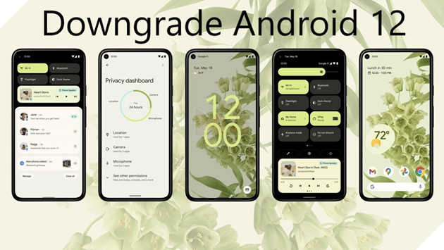 Hướng dẫn: Cách hạ cấp từ Android 12 Beta xuống Bản Android 11 