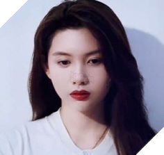 Nhan sắc của những tuyệt sắc giai nhân Hong Kong thập niên 90 từng đốn tim nhiều người Phần 2  5