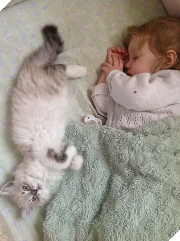 20 Bức hình cho thấy các bé cún và mèo là bạn thân tốt nhất của trẻ nhỏ 7