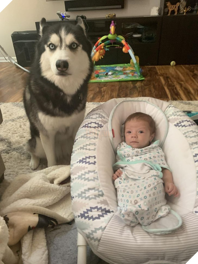 20 Bức hình cho thấy các bé cún và mèo là bạn thân tốt nhất của trẻ nhỏ 10