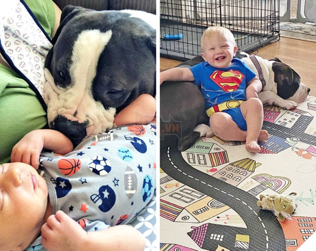 20 Bức hình cho thấy các bé cún và mèo là bạn thân tốt nhất của trẻ nhỏ 13