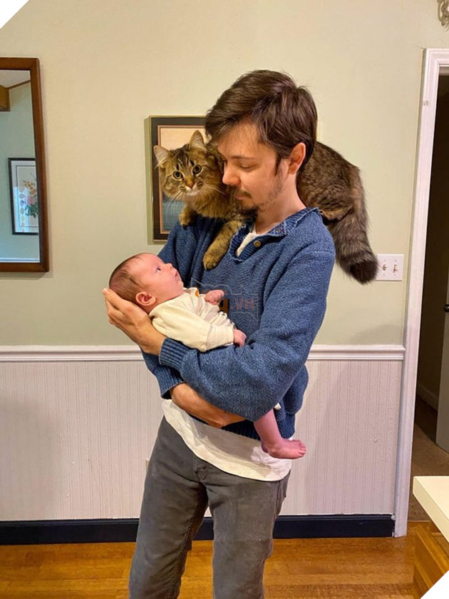 20 Bức hình cho thấy các bé cún và mèo là bạn thân tốt nhất của trẻ nhỏ 2