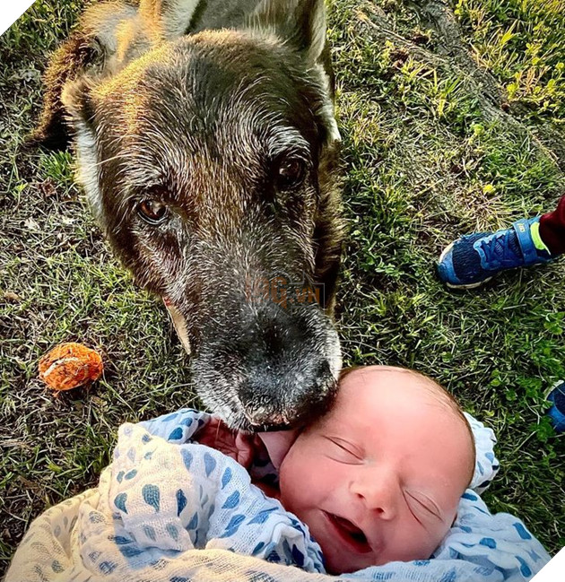 20 Bức hình cho thấy các bé cún và mèo là bạn thân tốt nhất của trẻ nhỏ 3