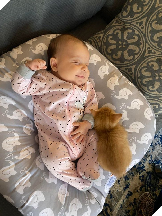 20 Bức hình cho thấy các bé cún và mèo là bạn thân tốt nhất của trẻ nhỏ 23