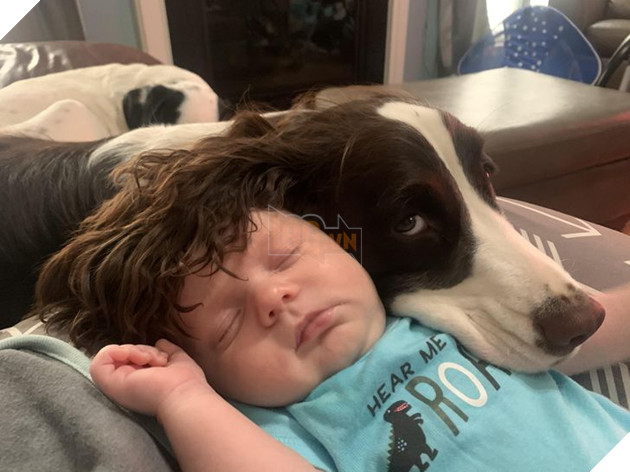 20 Bức hình cho thấy các bé cún và mèo là bạn thân tốt nhất của trẻ nhỏ 6