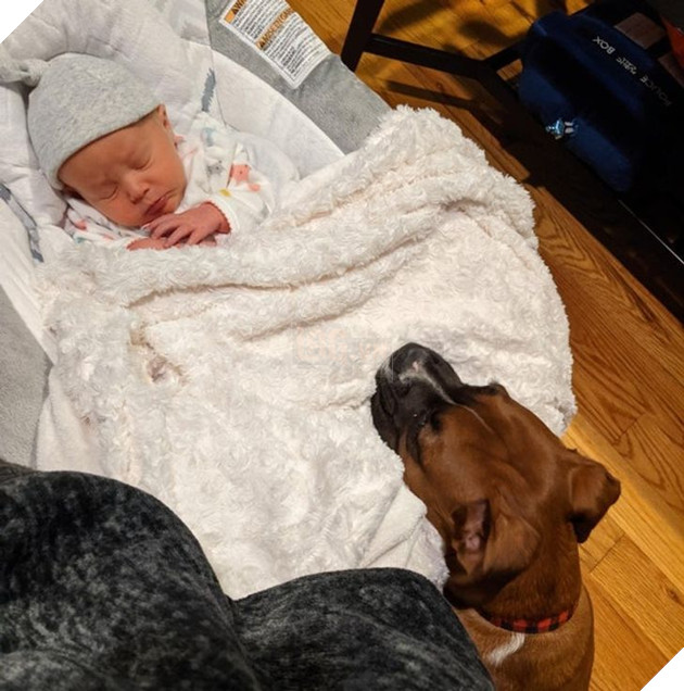 20 Bức hình cho thấy các bé cún và mèo là bạn thân tốt nhất của trẻ nhỏ 19