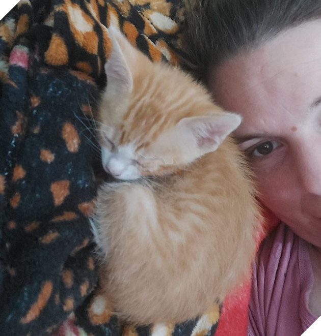 20 bậc phụ huynh tuyên bố ghét chó mèo tận xương tủy nhưng rồi cuối cùng lại cưng chúng như con guột 13