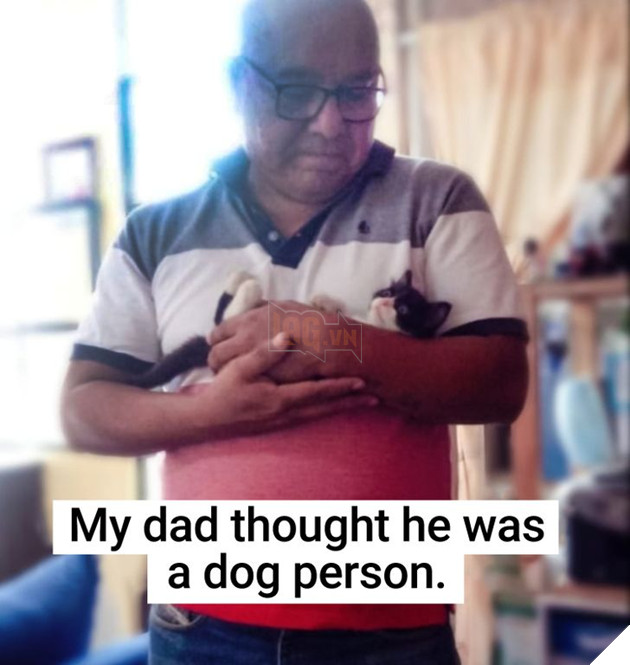 20 bậc phụ huynh tuyên bố ghét chó mèo tận xương tủy nhưng rồi cuối cùng lại cưng chúng như con guột 5