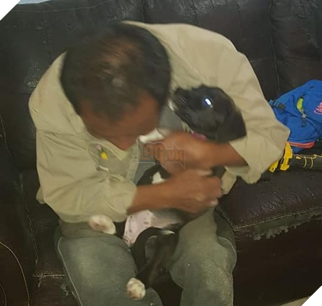 20 bậc phụ huynh tuyên bố ghét chó mèo tận xương tủy nhưng rồi cuối cùng lại cưng chúng như con guột 12