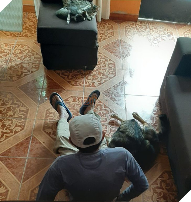 20 bậc phụ huynh tuyên bố ghét chó mèo tận xương tủy nhưng rồi cuối cùng lại cưng chúng như con guột 8