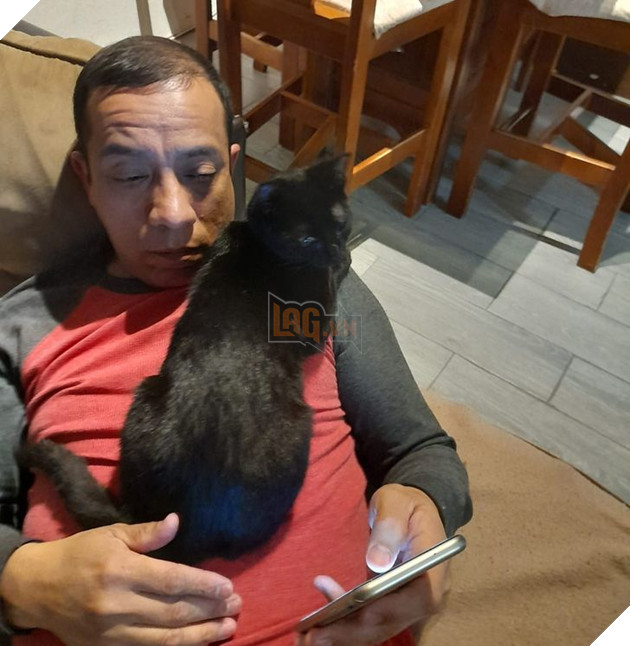 20 bậc phụ huynh tuyên bố ghét chó mèo tận xương tủy nhưng rồi cuối cùng lại cưng chúng như con guột 20