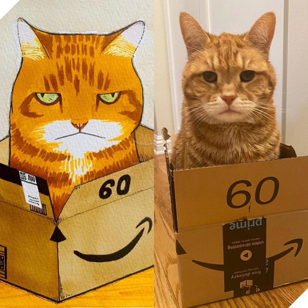 Gặp Marley - chú mèo có gương mặt phán xét và thất vọng trước cuộc sống đáng xấu hổ của sen 12