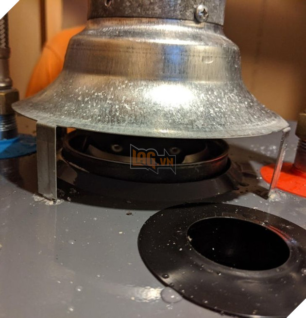 12 hình ảnh khiến cho các sen lầm tưởng đó là 1 con mèo 9