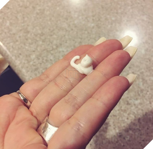 12 hình ảnh khiến cho các sen lầm tưởng đó là 1 con mèo 11