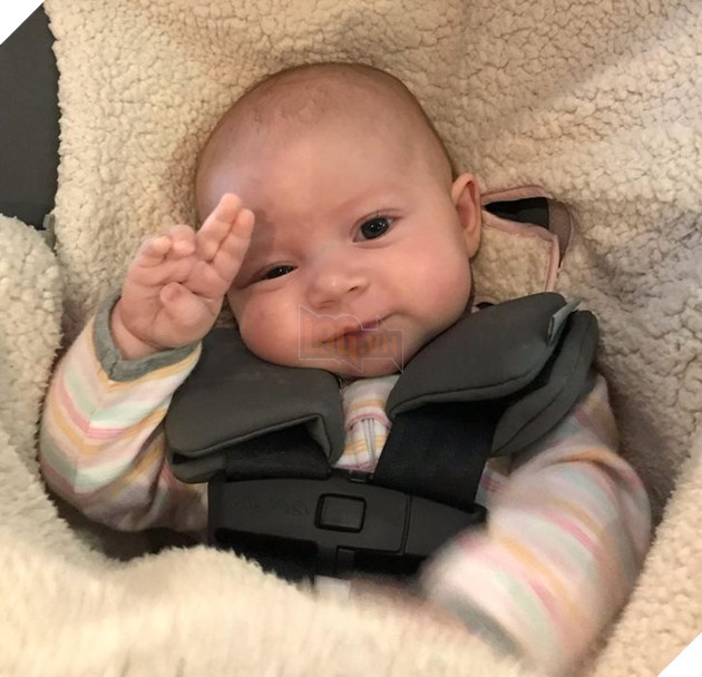 20 hình ảnh về các bé chó mèo khiến bạn cười ra nước mắt vì độ hề hước của chúng 7