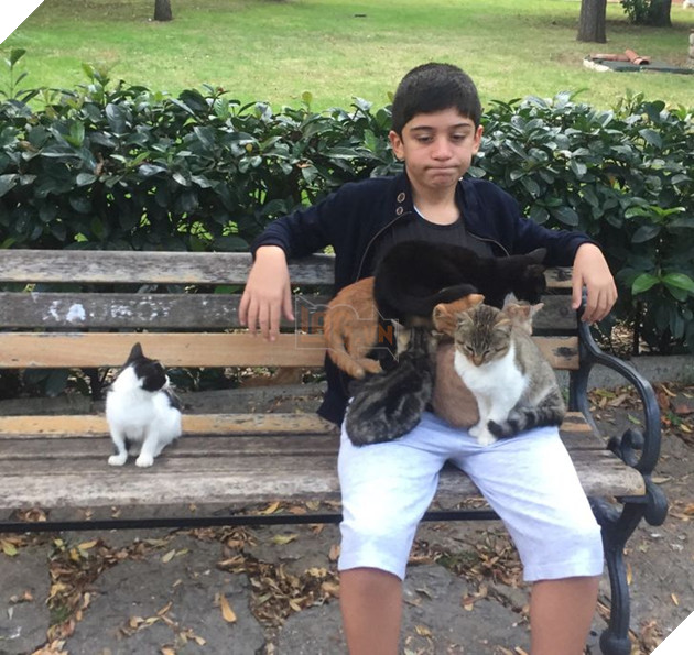 20 hình ảnh về các bé chó mèo khiến bạn cười ra nước mắt vì độ hề hước của chúng 16