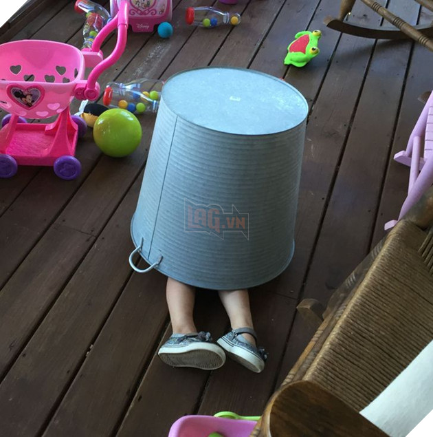 20 hình ảnh về các bé chó mèo khiến bạn cười ra nước mắt vì độ hề hước của chúng 4