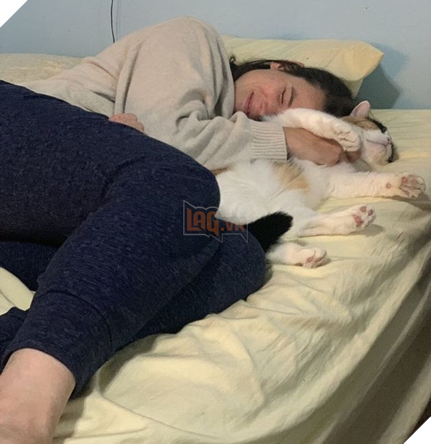 22 hình ảnh về những chú mèo có khả năng khiến bạn rơi vào lưới tình và mãi mãi yêu thương chúng 8