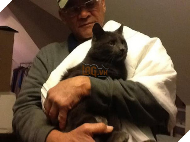 Ấm lòng người cựu chiến binh chăm sóc lũ mèo hoang suốt hơn 2 thập kỷ 6