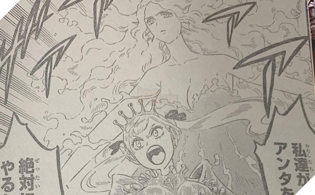 Spoiler black clover chap 295
