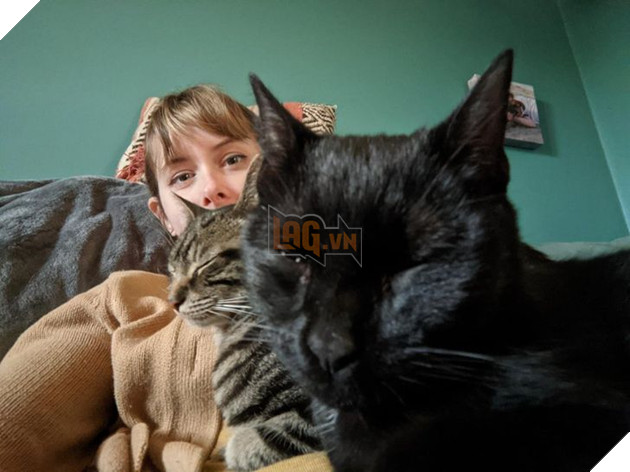 15 hình ảnh của các loài động vật cho thấy tình bạn là món quà tuyệt vời nhất của cuộc đời 2