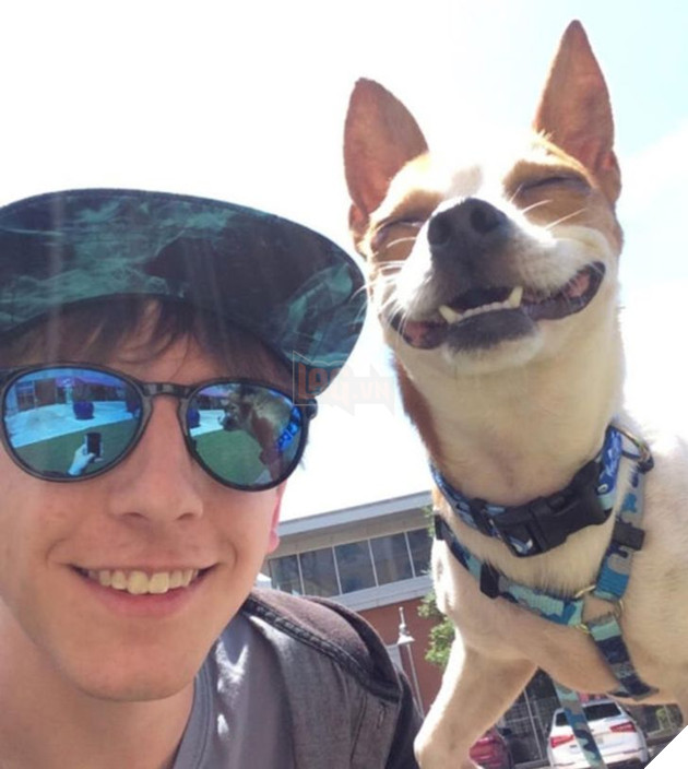 20 bức ảnh về cuộc đời của các bé chó mèo hoang được sen tốt bụng nhận về nuôi khiến bạn thấy ấm lòng 13