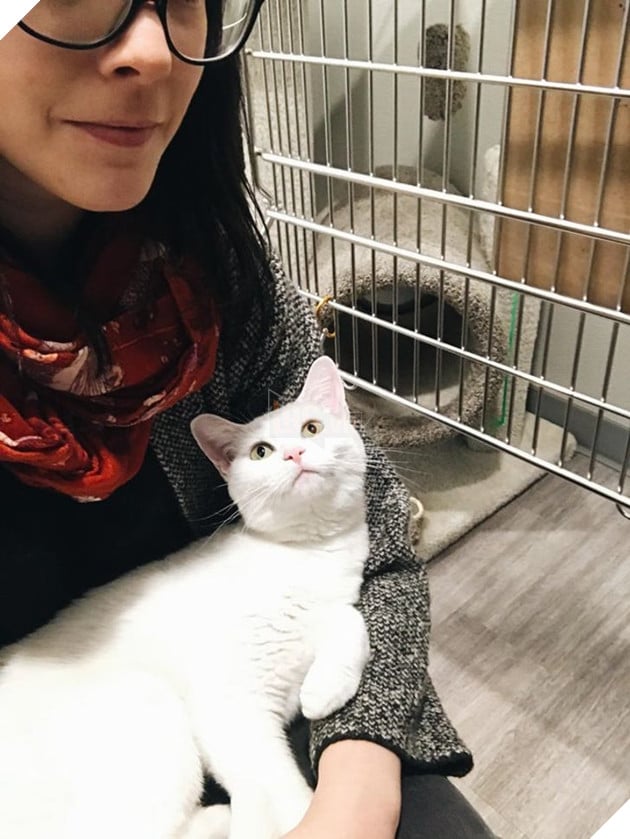 20 bức ảnh về cuộc đời của các bé chó mèo hoang được sen tốt bụng nhận về nuôi khiến bạn thấy ấm lòng 15