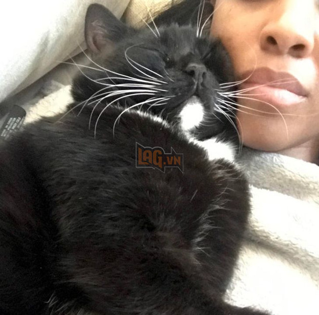 20 bức ảnh về cuộc đời của các bé chó mèo hoang được sen tốt bụng nhận về nuôi khiến bạn thấy ấm lòng 4