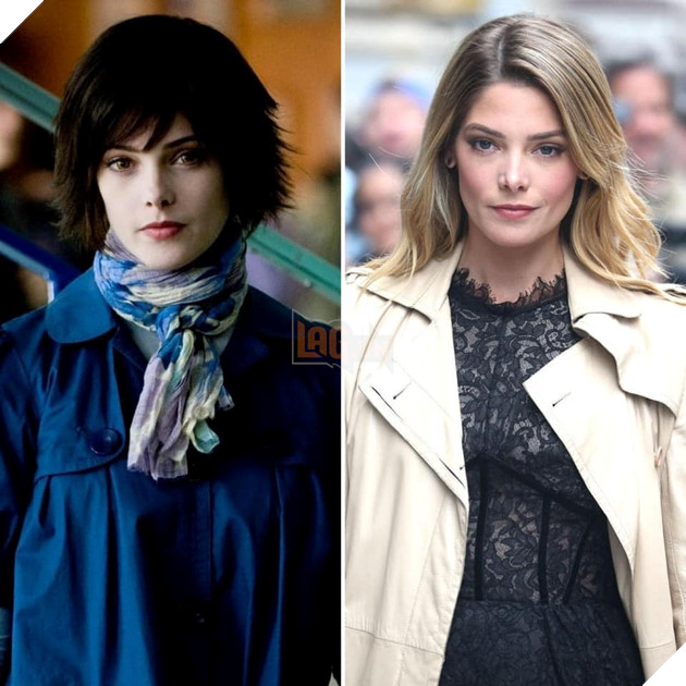  The Twilight Saga : Nhan sắc ngày ấy - bây giờ của dàn diễn viên đình đám P2  3