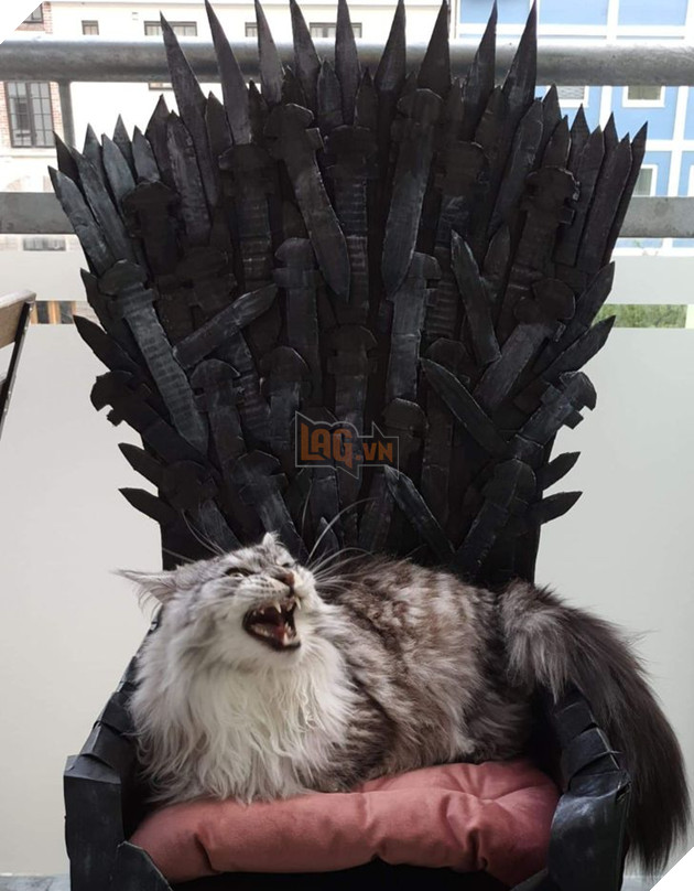 15 hình ảnh cho thấy lũ mèo là bọn người ngoài hành tinh chuẩn bị xâm chiếm Trái Đất 5