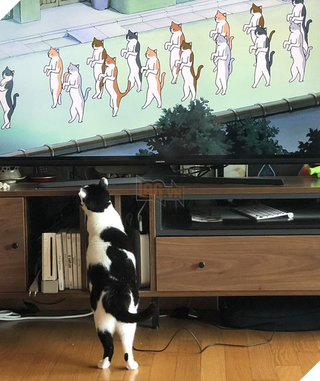 15 hình ảnh cho thấy lũ mèo là bọn người ngoài hành tinh chuẩn bị xâm chiếm Trái Đất