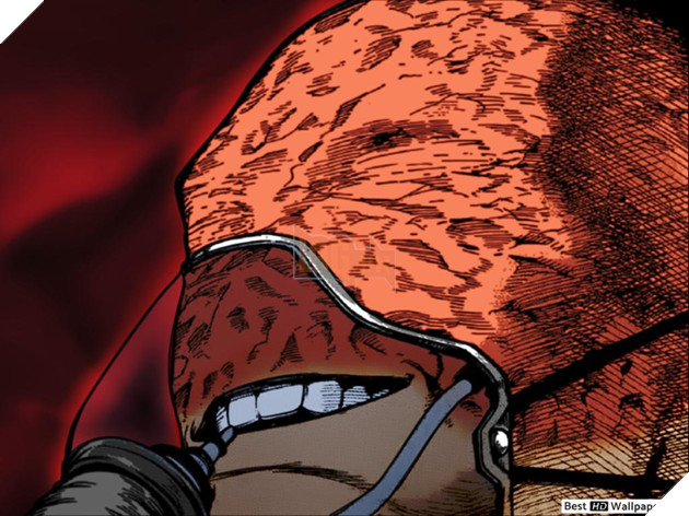 spoiler my hero academia 316