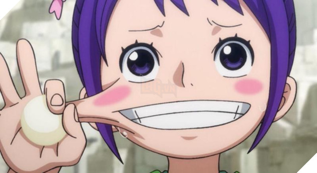 spoiler one piece 1017