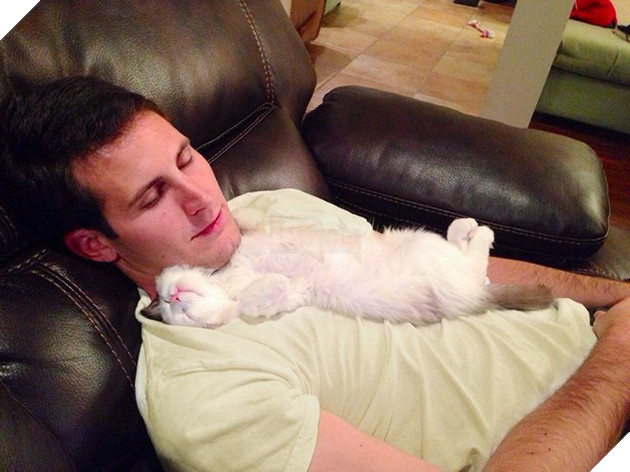 Khoa học chứng minh mèo không hề coi chúng ta là nô lệ mà lại còn yêu thương con người hết mực 4