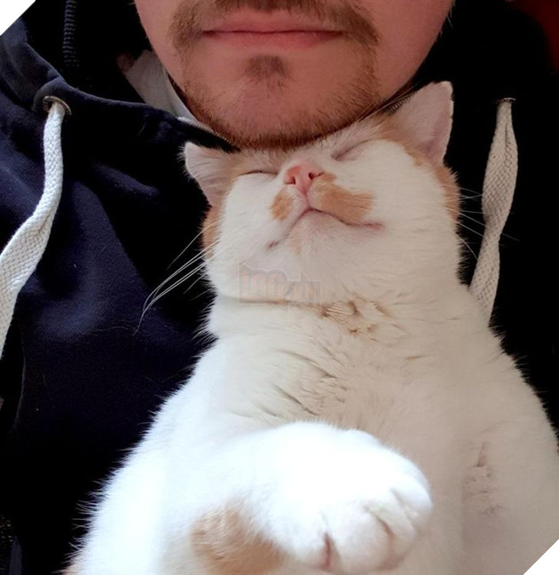 25 con vật cưng dễ thương không thể sống thiếu con người của chúng 22