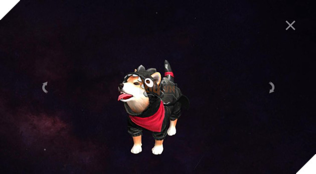 Pet nào tốt nhất trong Free Fire 2021?  13