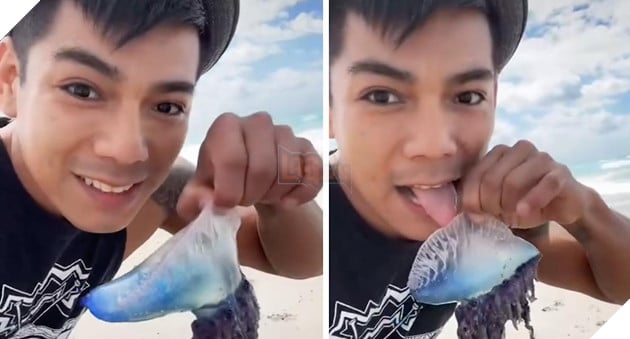 TikToker quay video liếm sứa có độc khiến cộng đồng mạng được phen khiếp vía 3