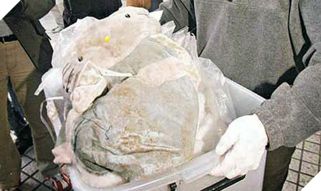 Tổng hợp những truyền thuyết đô thị ám ảnh nhất Trung Quốc xứng đáng được dựng thành phim Phần 1  6