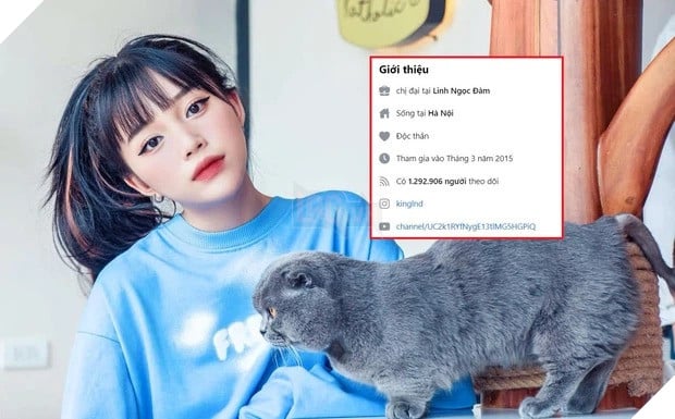 Liên tục bị report tài khoản, Linh Ngọc Đàm tuyên bố nghỉ chơi Facebook?