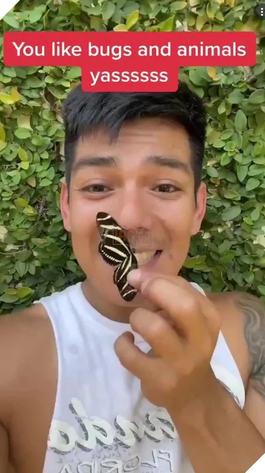 TikToker quay video liếm sứa có độc khiến cộng đồng mạng được phen khiếp vía 2